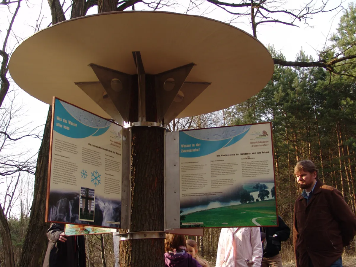 Riesenpilze mit Schautafeln zeigen am Naturerlebnispfad Wassertropfen Wissenswertes zum Lebensmittel Nummer eins - dem Trinkwasser im Naturpark Dübener Heide