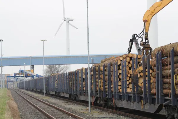 Fokus Schiene: 16.000 Tonnen Rundholz via Elbehafen Bild: Fokus Schiene: 16.000 Tonnen Rundholz via Elbehafen