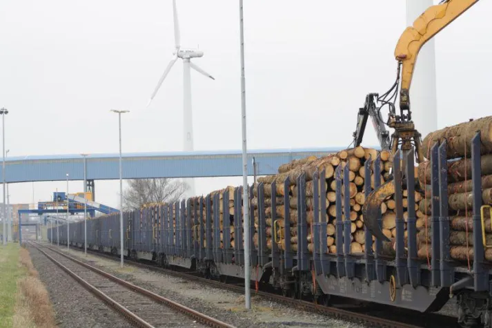 Fokus Schiene: 16.000 Tonnen Rundholz via Elbehafen Bild: Fokus Schiene: 16.000 Tonnen Rundholz via Elbehafen