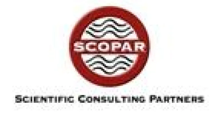 Bild: Gratis-Self-Assessment der IT-Strategie - online