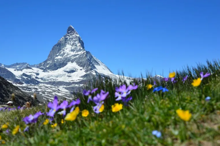 Bild: Trotz Corona: Schweiz nach wie vor beliebtestes Auswanderziel bei Deutschen