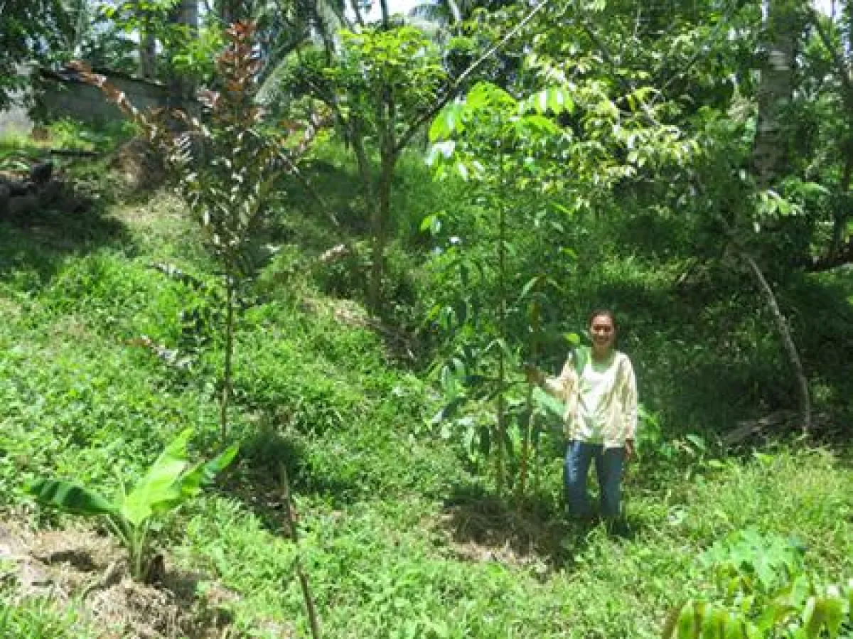 Farmbesitzerin vor einem Mama Earth-Mahagonibaum /Foto: Mama Earth Foundation