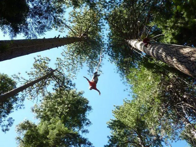 Bild: Deutschlandpremiere-Freefallaction im Kletterwald-Einsiedel bei Würzburg-Rimpar