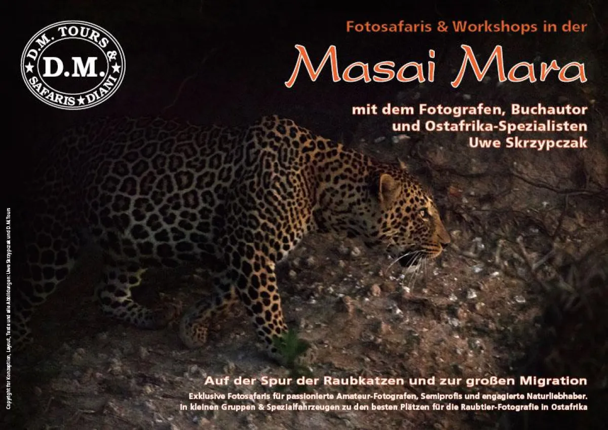 Auf der Spur der Raubkatzen und zur großen Migration