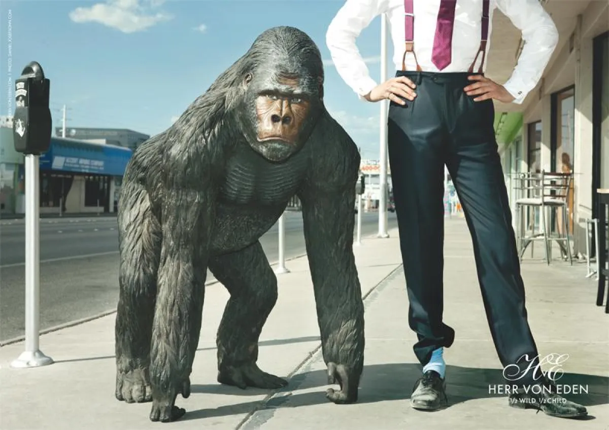 fotografiert von Daniel Josefsohn