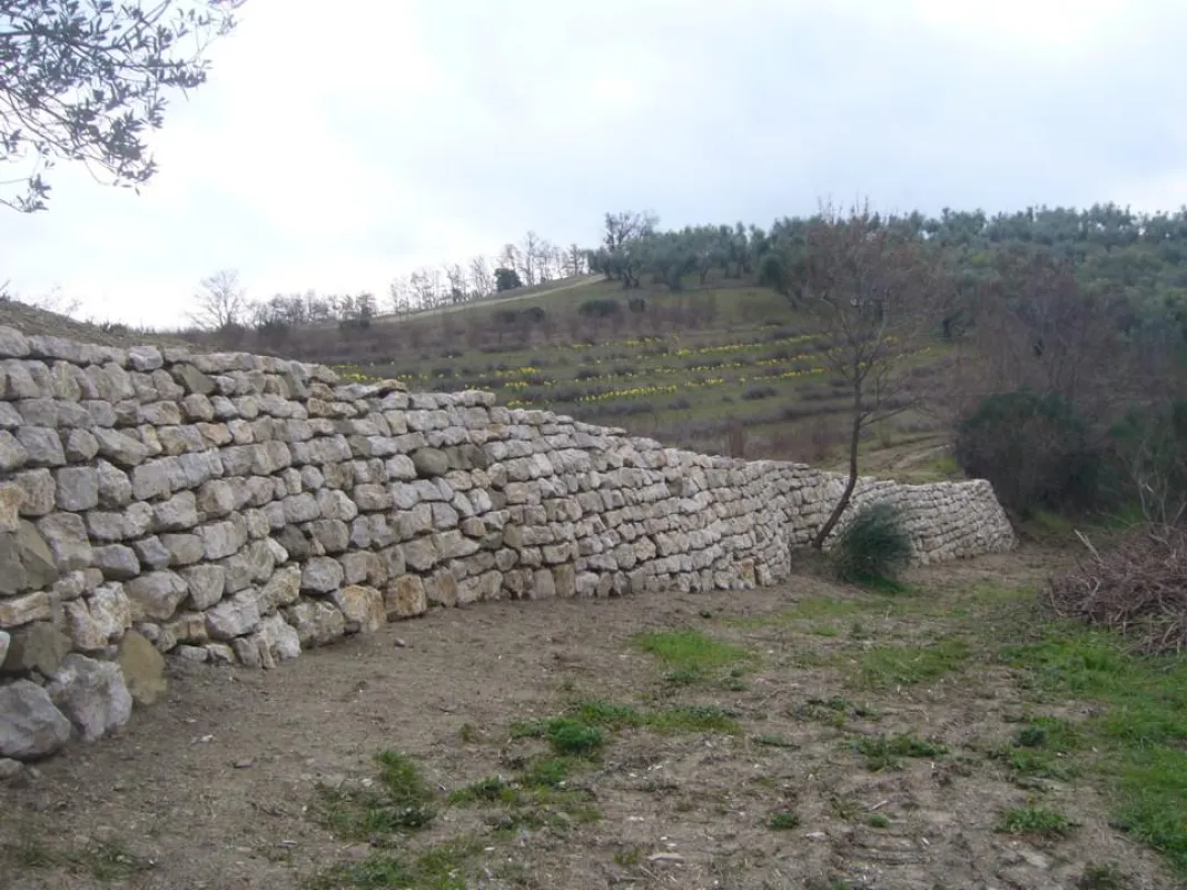 Widererrichtete  Trockenmauer in La Rogaia, ein neuer Lebensraum für Kleintiere und Pflanzen