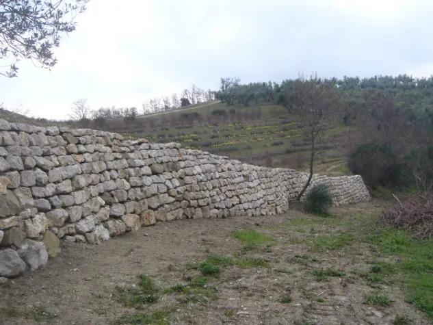 Bild: Olivenbaumpatenschaften, ein aktiver Beitrag zum Naturschutz