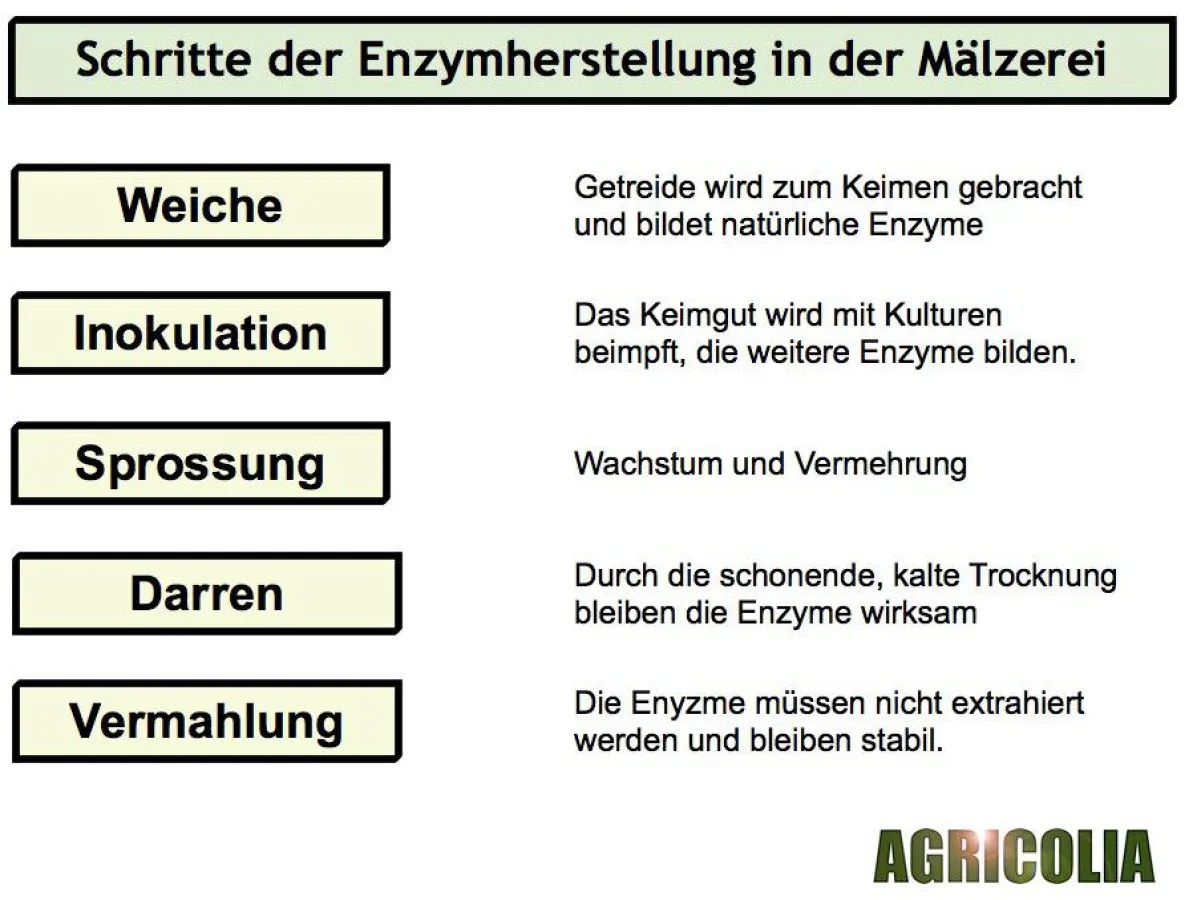 Herstellung von Avimalt-Plus (schematisch)