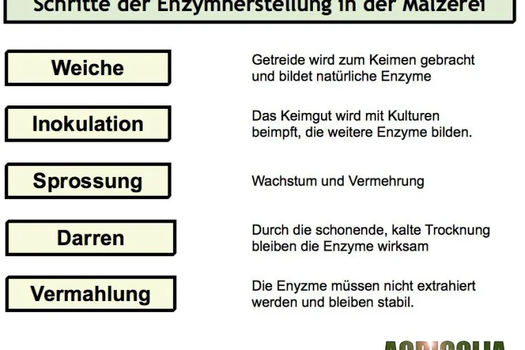 Bild: Neue Kooperation im Bereich der Futtermittelzusatzstoffe