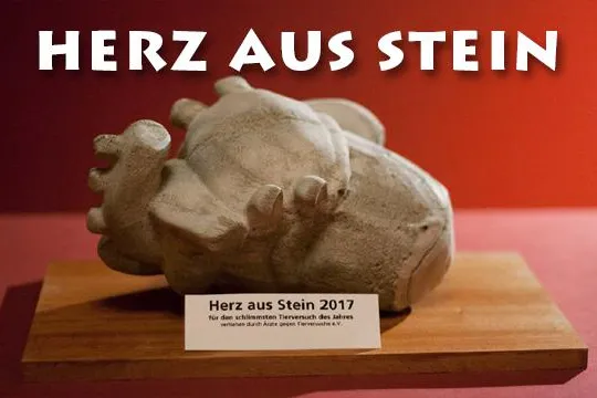Bild: Herz aus Stein - Verein Ärzte gegen Tierversuche lobt „Preis“ für den schlimmsten Tierversuch aus
