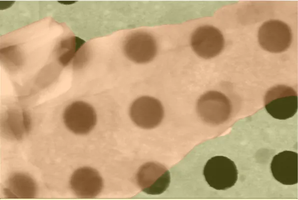 Bild: Borophen lenkt Licht im Nanomaßstab