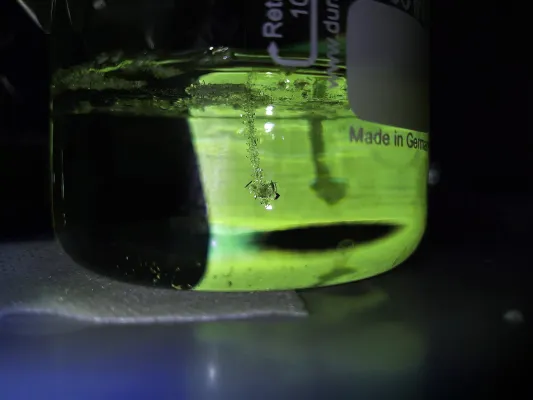 Dunkle Materie: Nachweis mithilfe von Zucker? Studie untersucht Saccharose als mögliches Detektormaterial Bild: Dunkle Materie: Nachweis mithilfe von Zucker? Studie untersucht Saccharose als mögliches Detektormaterial