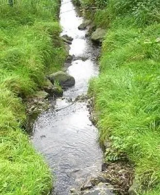 Neu ab April 2009 - Ausbildung "Coaching mit kreativen Methoden" Bild: Neu ab April 2009 - Ausbildung "Coaching mit kreativen Methoden"