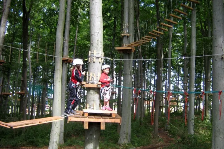 Bild: Benefiz-Wettbewerb im Kletterwald Werdau am 01. August 2010