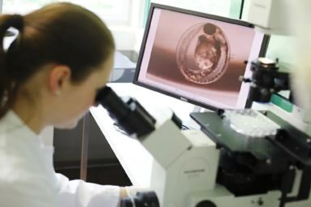 Auch Zebrafische und Wasserflöhe kommen an den Hohenstein Instituten zum Einsatz.