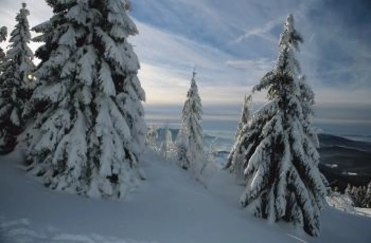 Der Bayerische Wald im Winter