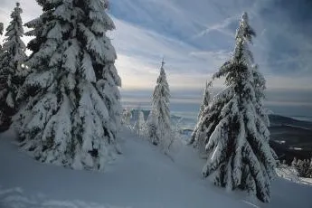 Bild: Zauberhafte Weihnachtszeit im Bayerischen Wald