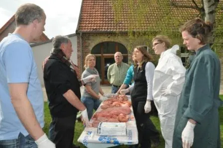 Bild: AVA-Milchvieh Fruchtbarkeits-Workshop zur Verbesserung der tierärztlichen Bestandsbetreuung in der Tierhaltung