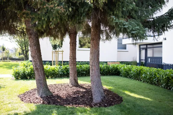 Bild: belvona: Wie das Wohnungsunternehmen Nachhaltigkeit vorlebt