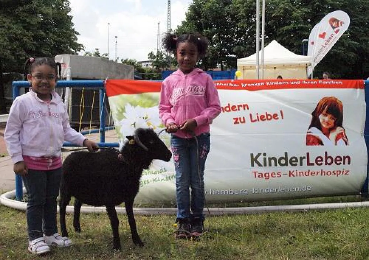 Die Zwergschafe kamen sehr gut bei den Kindern an
