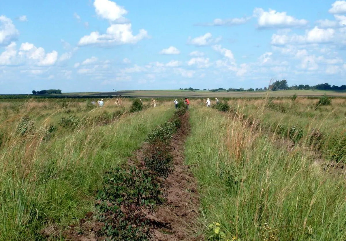 Waldinvestment in Paraguay, eine nachhaltige Geldanlage auch für private Anleger