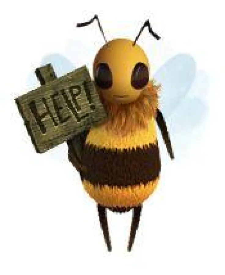 NuoViso kündigt Film zum Bienensterben an