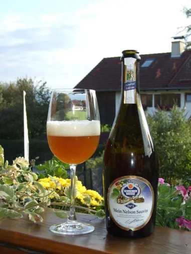 Bild: Schneider Weisse bringt 2. Auflage vom TAPX Mein Nelson Sauvin