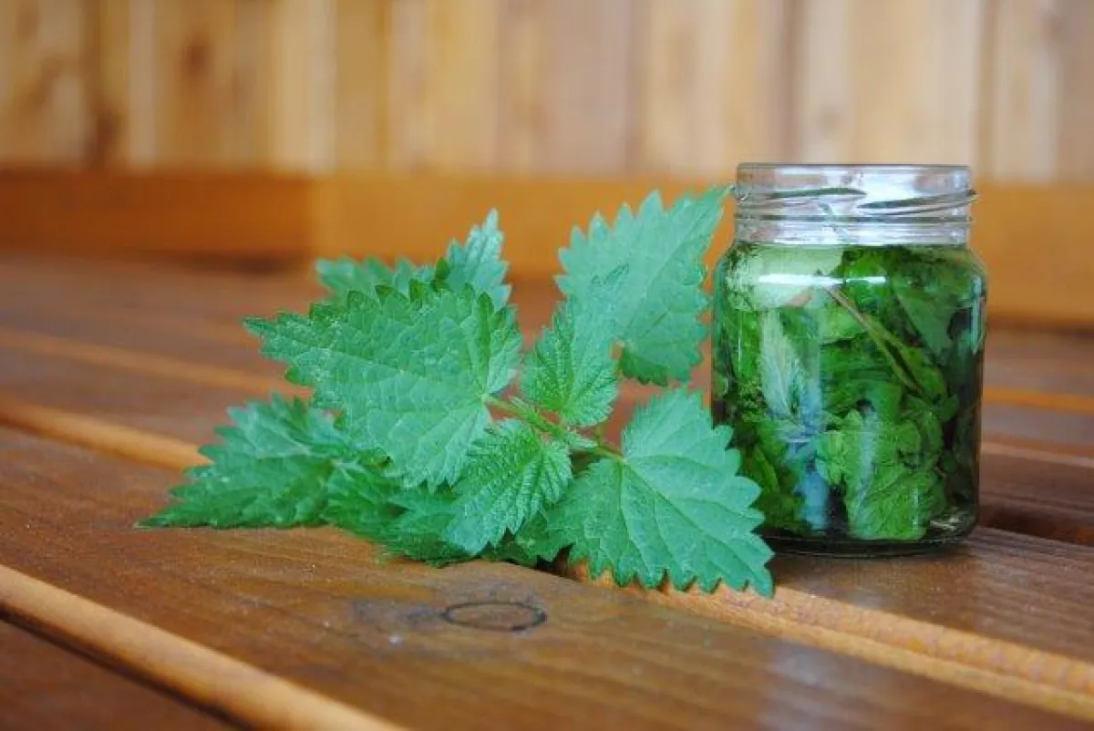 Im Hotel VILA VITA lernen Gäste die versteckten Heilkräfte der heimischen Pflanzenwelt kennen.