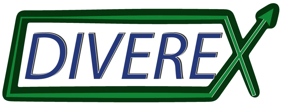 DIVEREX® – SEO & Coaching für sächsische Vereine und Verbände (© DIVEREX UG (haftungsbeschränkt))