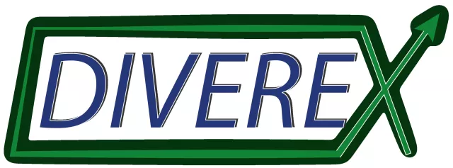 Bild: Coaching & SEO für Vereine und Verbände - DIVEREX®