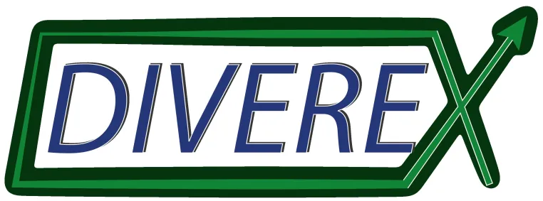 Bild: Coaching & SEO für Vereine und Verbände - DIVEREX®
