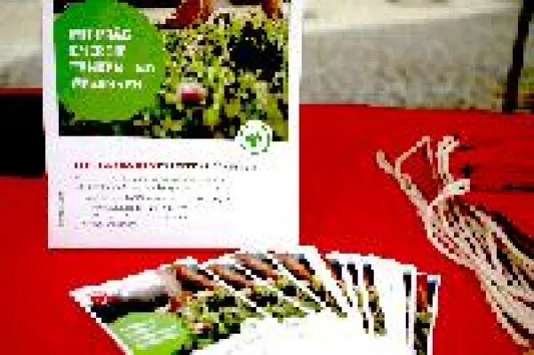 Bild: Energie zum Anfassen