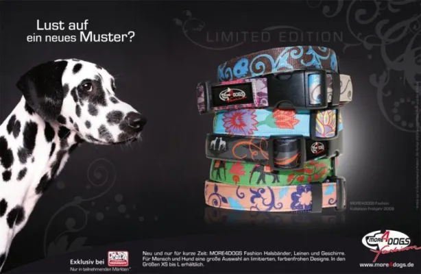 Bild: Fashion für Hunde - Fressnapf-Eigenmarke More4Dogs bringt Designer-Kollektion für Hunde auf den Markt