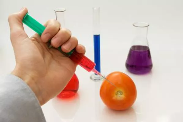 Bild: Alle Fachübersetzungen für die Lebensmittelindustrie aus einer Hand