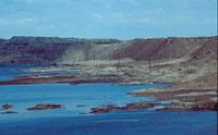 Bild: Naturparadies Tagebau