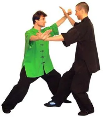 Bild: Aktuelle "San Shou"-Seminar-Reihe bei der TAO ACADEMY  Das innere "Ich" finden