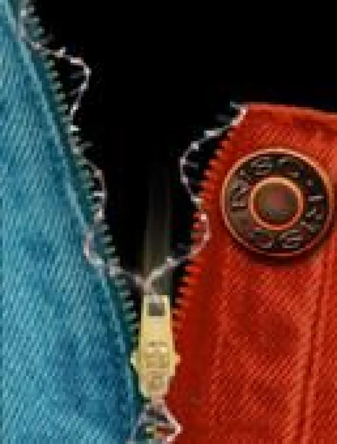 Schematic representation of a RISC/target RNA interaction. The recognition of target RNA (blue) by RISC (red) can be likened to the principle of a zip fastening. Closing the zip eventually leads to th