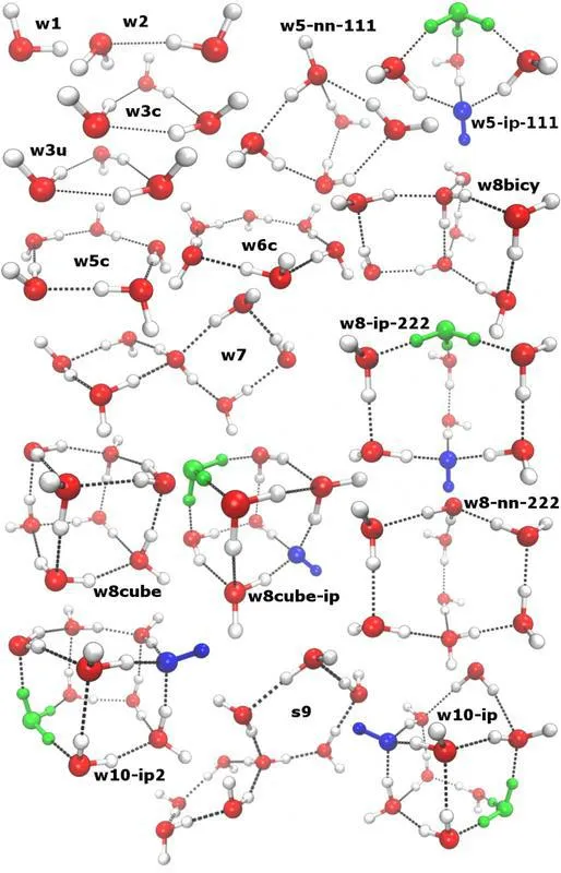 Verschiedene Cluster von Wassermolekülen: Manche sind dazu in der Lage, negativ geladene Hydroxid-Ionen (blau) und positiv geladene Hydronium-Ionen (grün) zu stabilisieren. (© AG Kirchner/Uni Bonn)