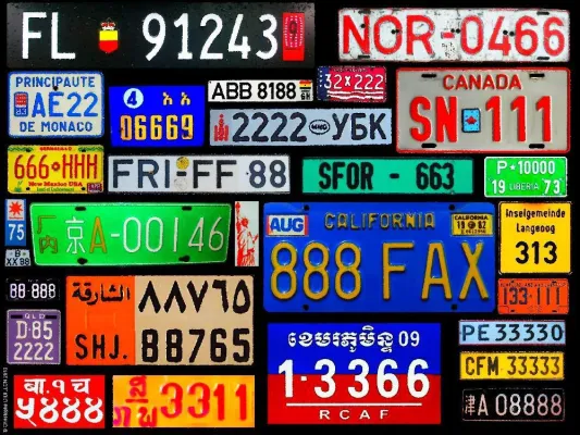 Bild: Künstler Christophe Didillon fertigt Collage aus Nummernschildern aus aller Welt