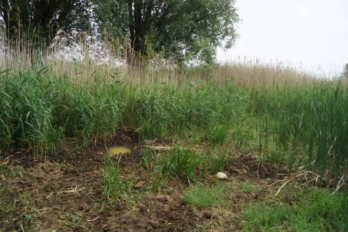 Bild: Many protected areas in Germany are not fit for climate change