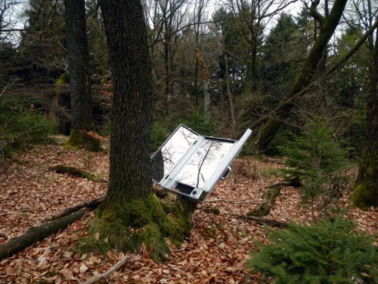 Bild: Blätterkleid & Beauty Trees