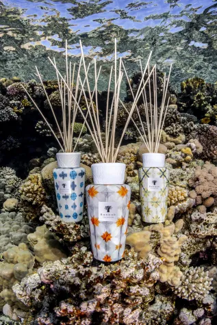 Bild: Odyssée:  Die neuen Kerzen und Diffusoren Kollektion von Baobab Collection 