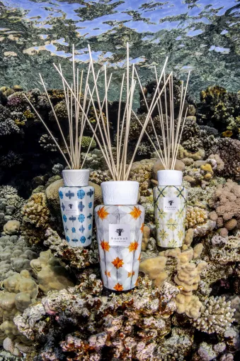 Bild: Odyssée:  Die neuen Kerzen und Diffusoren Kollektion von Baobab Collection 