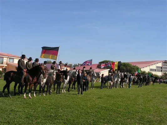 Bild: Exportschlager Pferdewissen - Lernen in der Europäischen Pferde Akademie