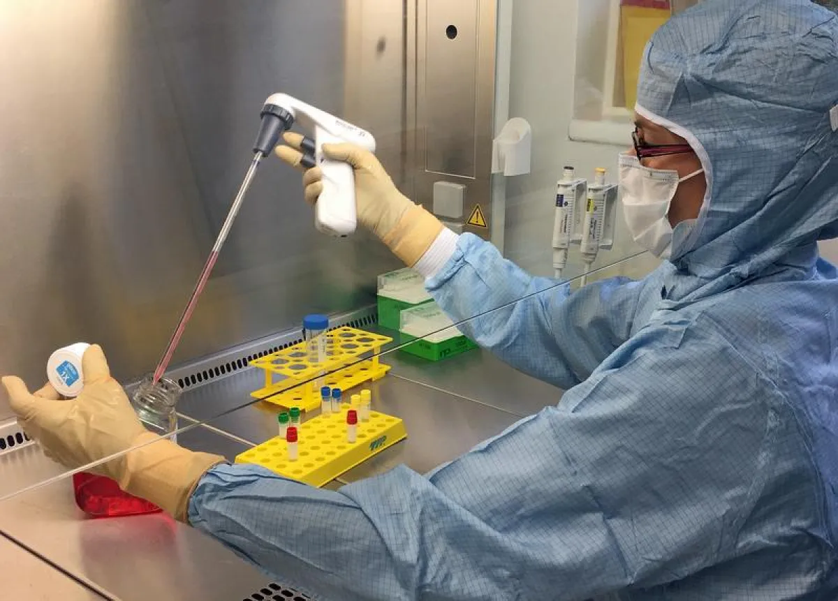 An der Reinraumbank des Translationszentrums „Regenerative Therapien“ in Würzburg werden mit viel Handarbeit Implantate aus patienteneigenem Knorpelmaterial hergestellt. (Bild: Tanja Kraus / Uniklinik