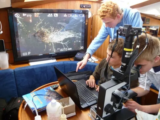 Bild: Mit stürmischem Rückenwind in die Ostsee