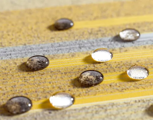 Bild: Der Sommer kann kommen