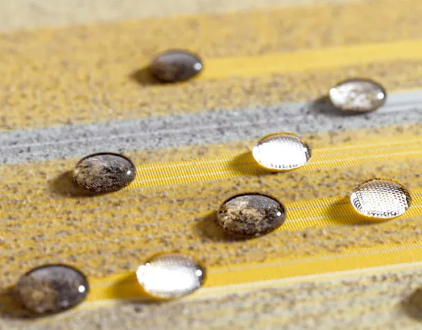 Bild: Der Sommer kann kommen