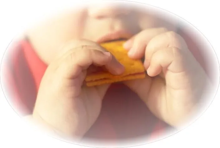 Breite Unterstützung für das Lebensmittelsymposium Bild: Breite Unterstützung für das Lebensmittelsymposium