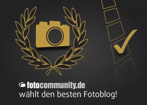 Bild: fotocommunity.de sucht den besten Fotoblog des Jahres